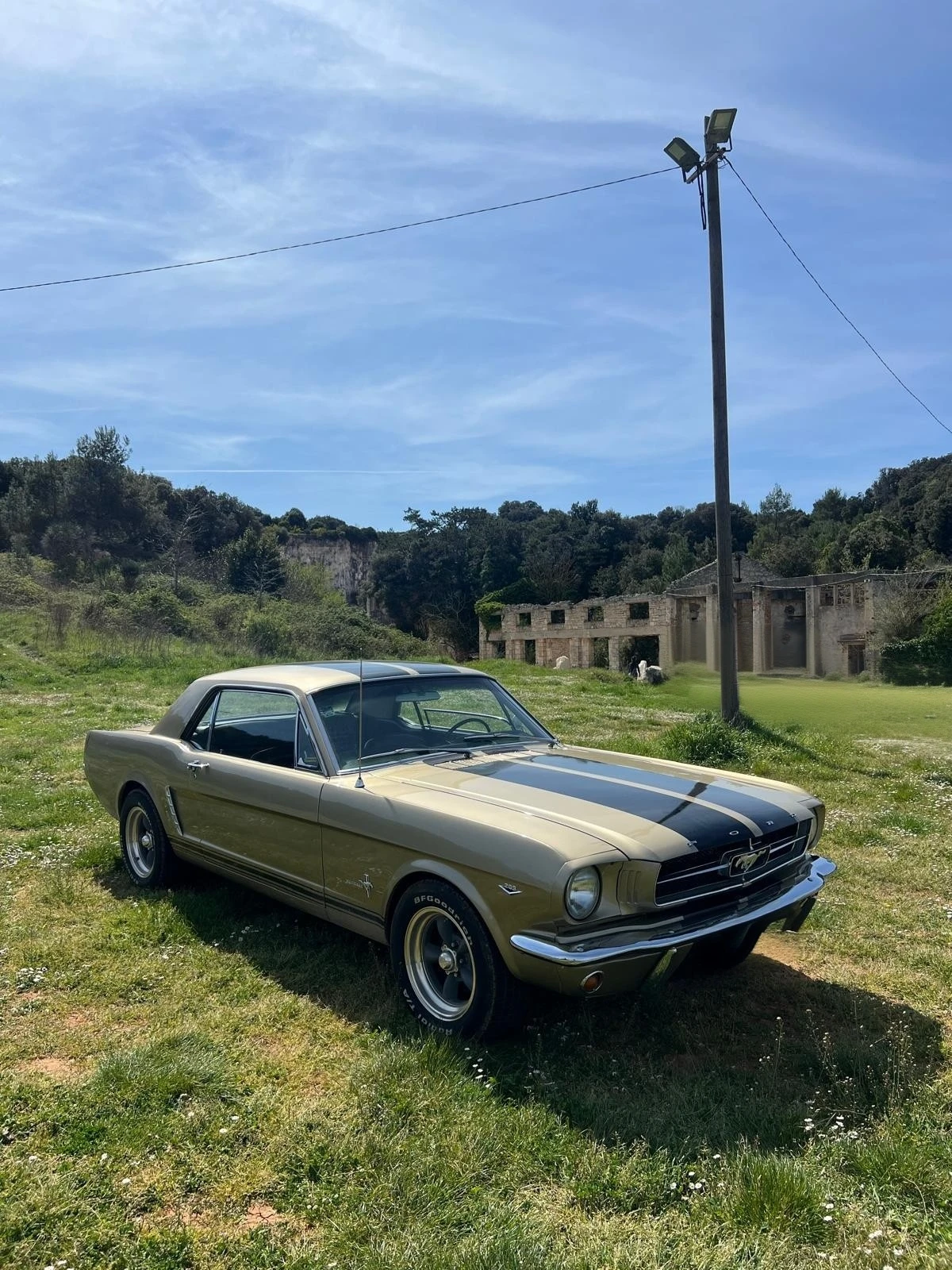 Ford Mustang 289
