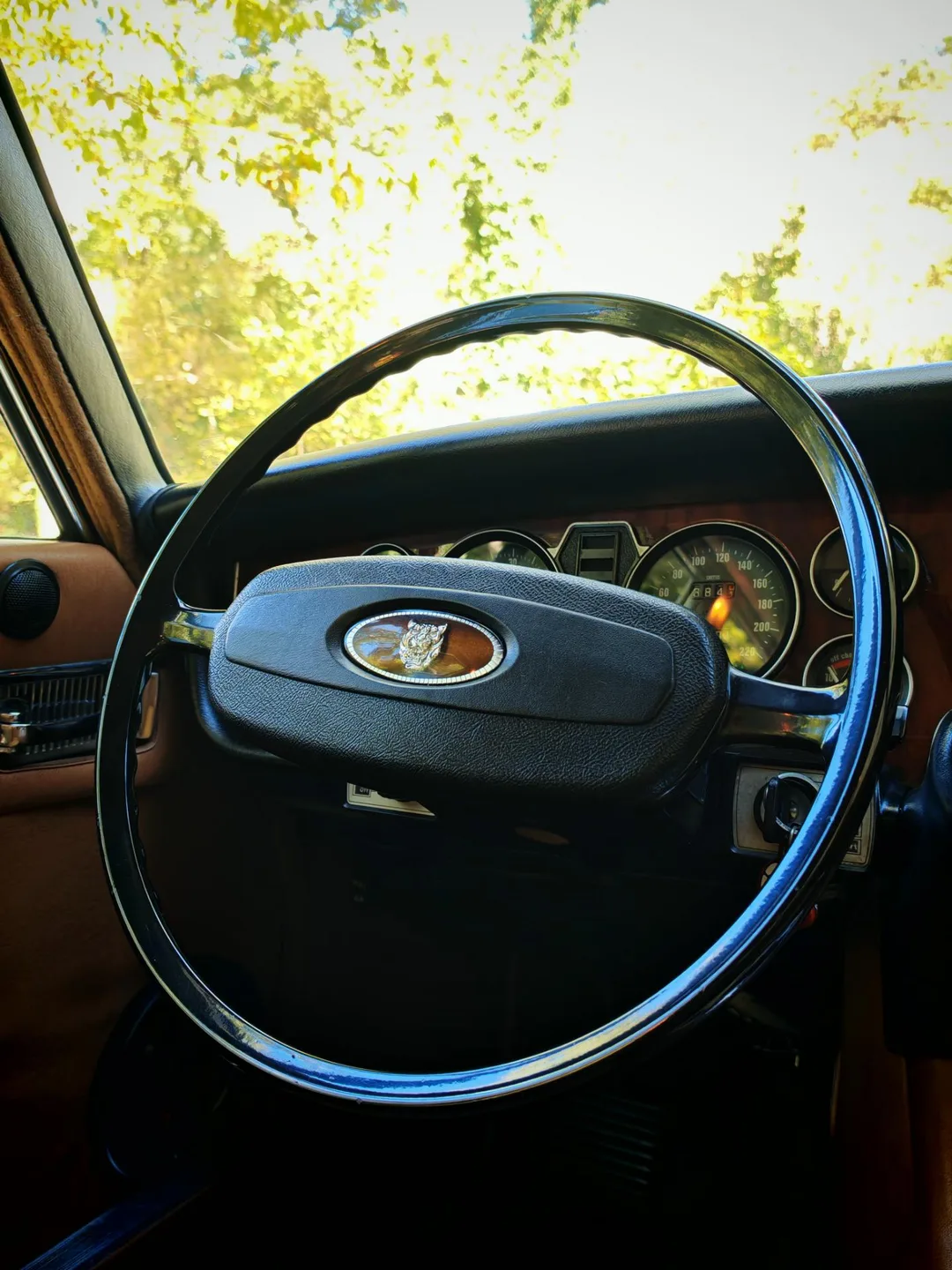 Jaguar XJ6